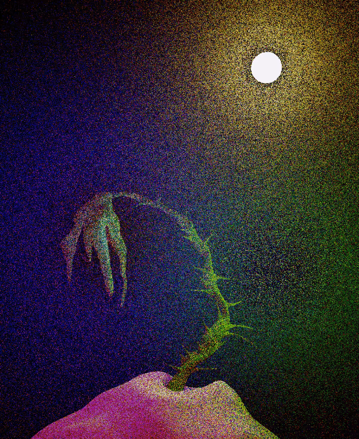 Plant Based 2