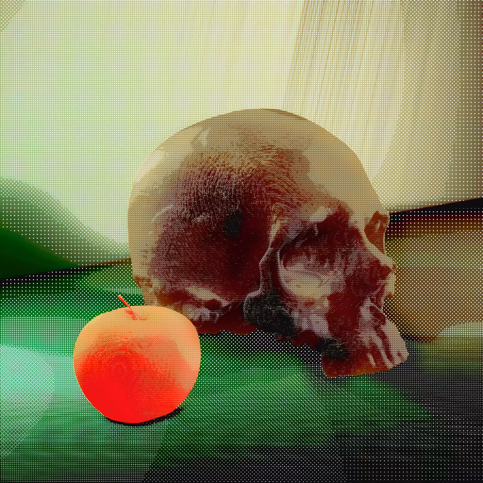 Vanitas - Skull and ripe apple