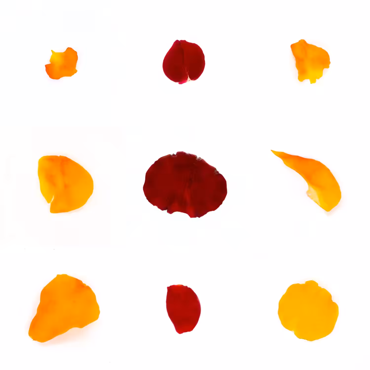 Infinite Petals 3x3#20373