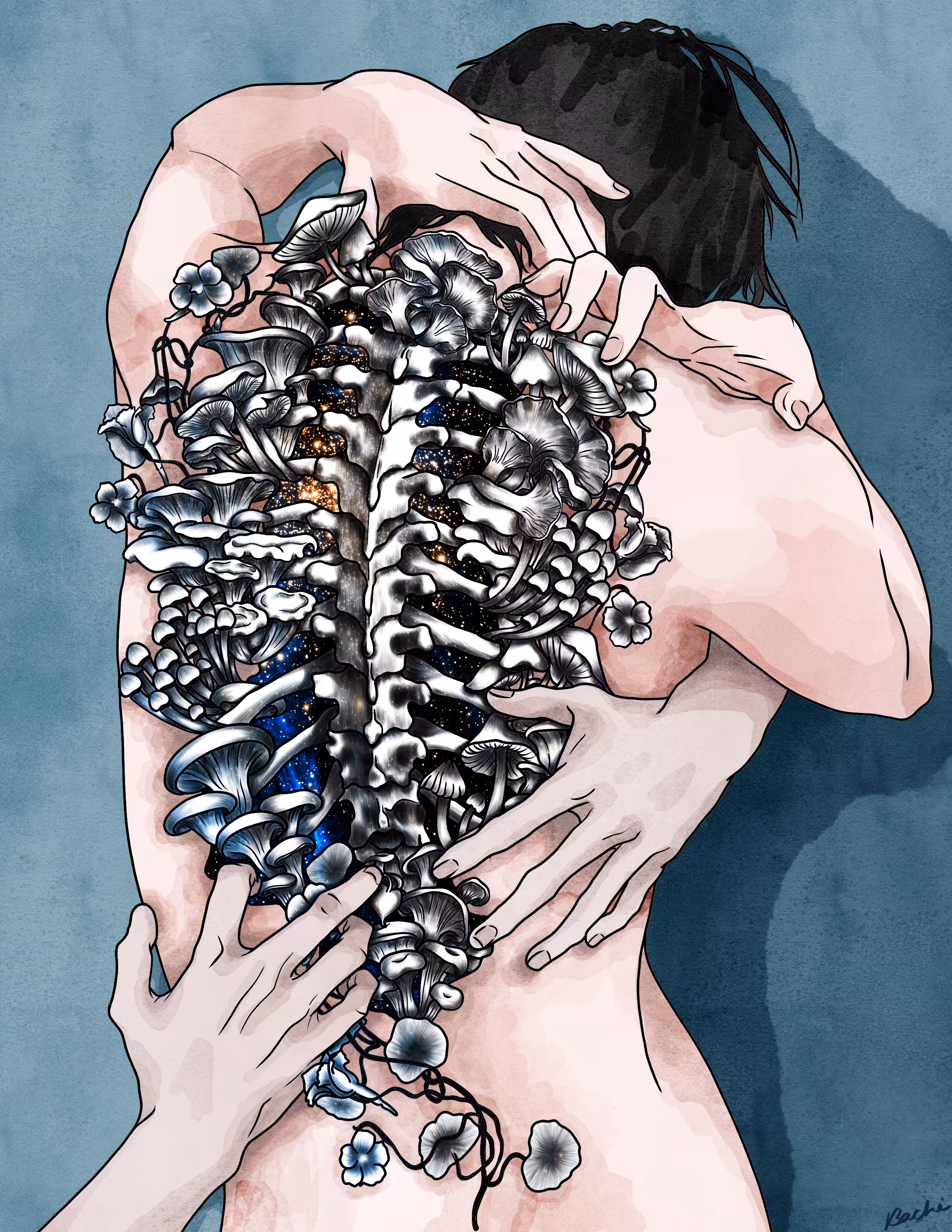 Metamorphosis 