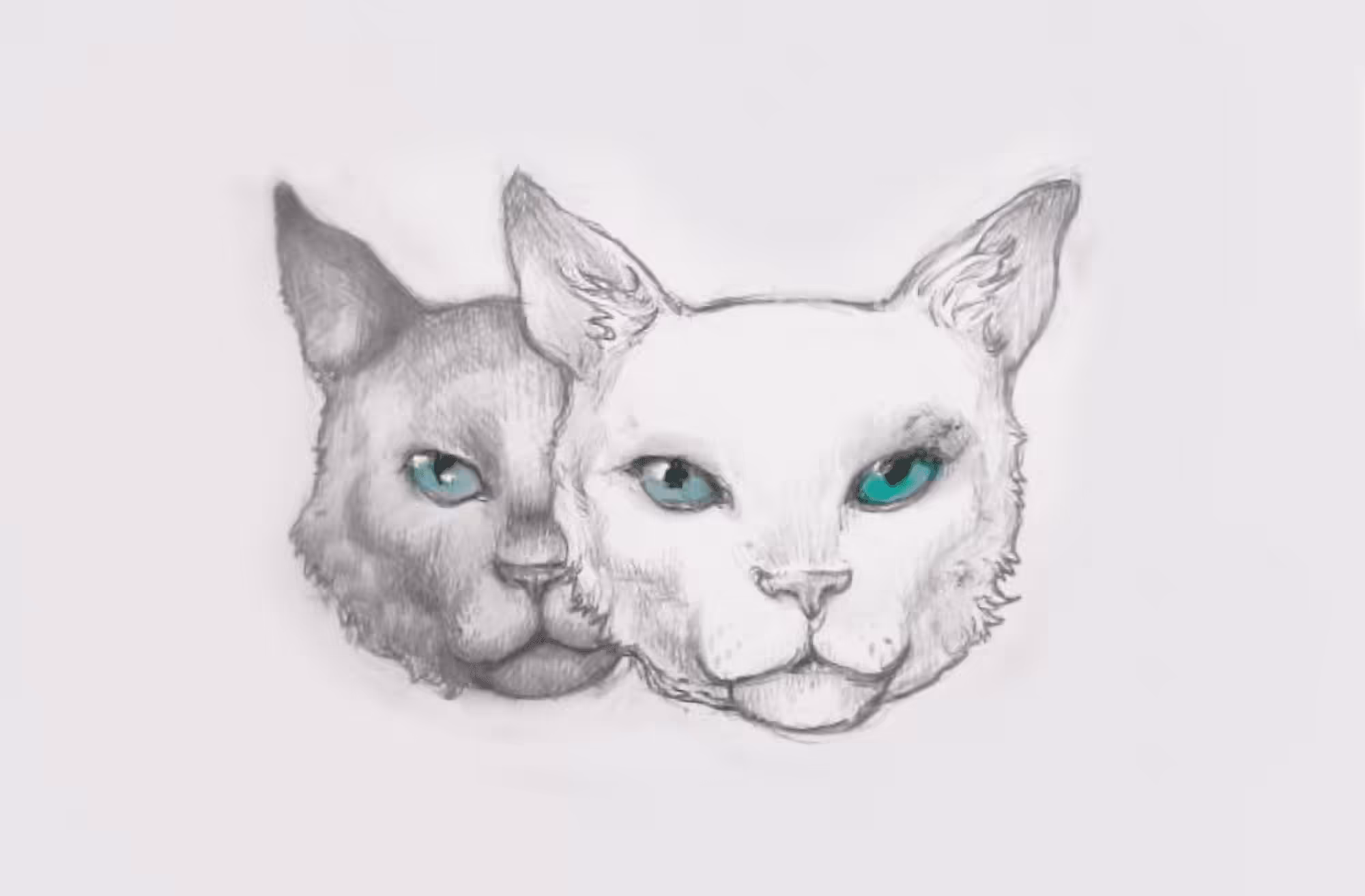 Two Cats by Aleyna