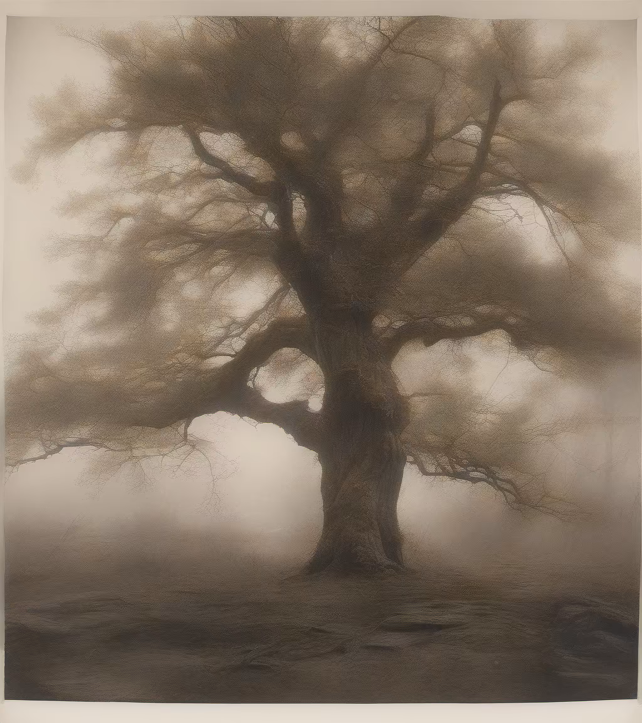 Tree Studies #6