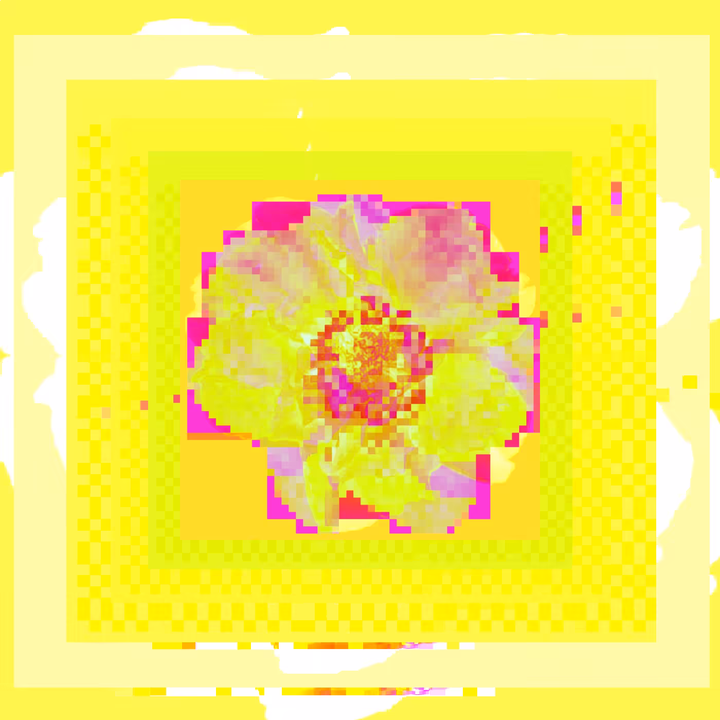 flora__2