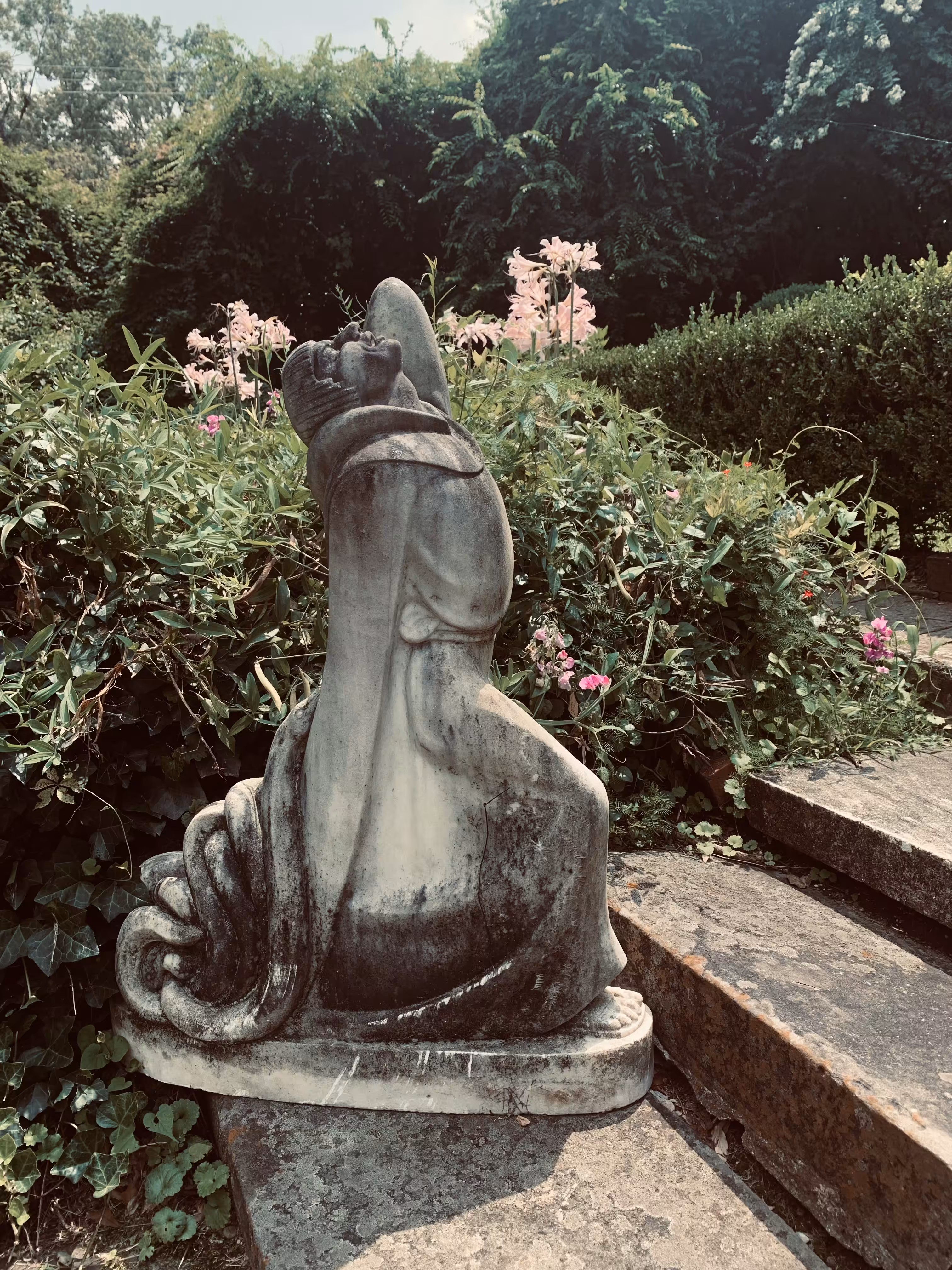 The Serpent and the Saint
