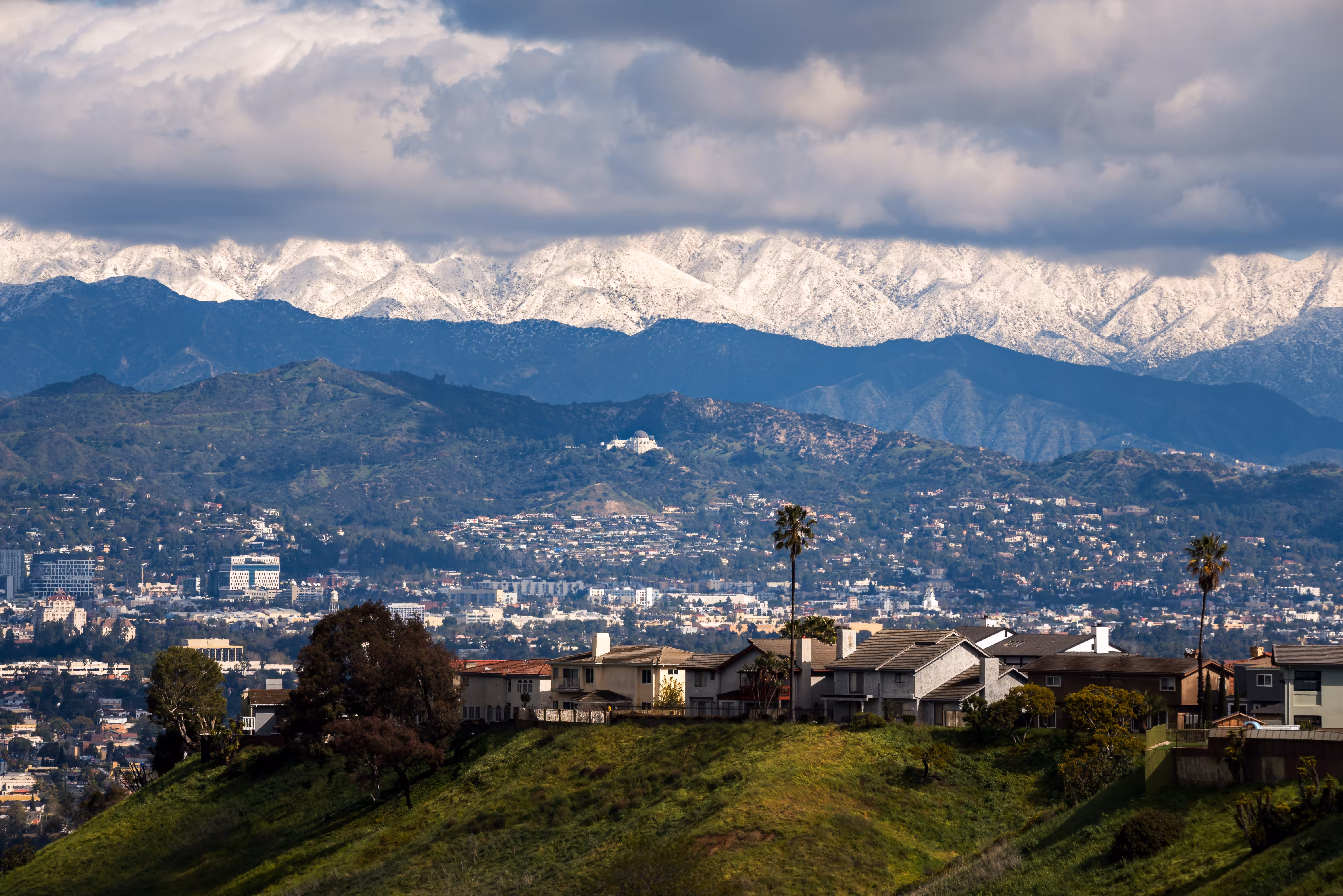 House With a View