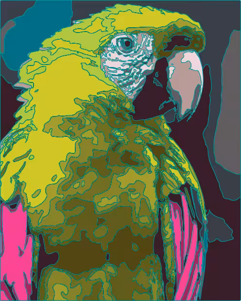 Parrot Top