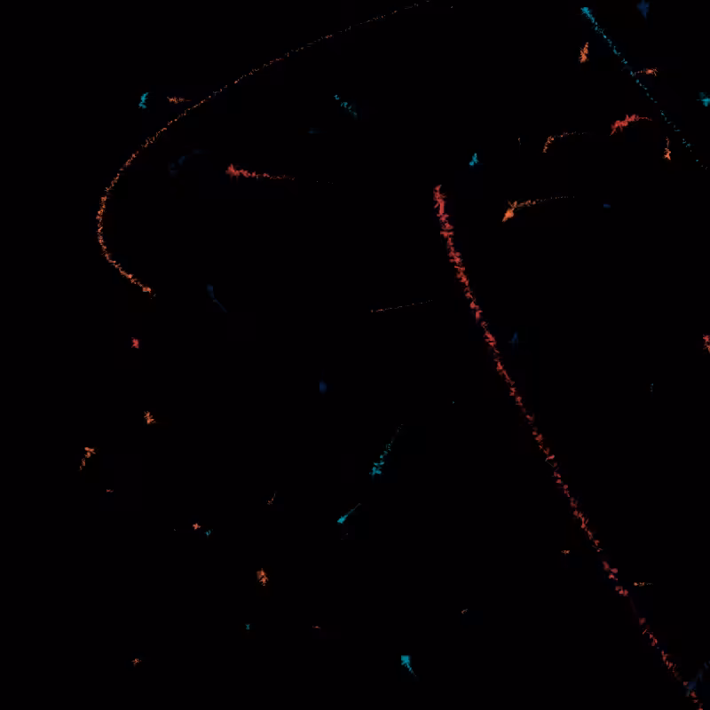 Flux #21