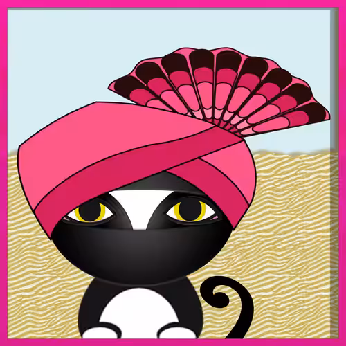 Ninjacat Visits Punjab #1