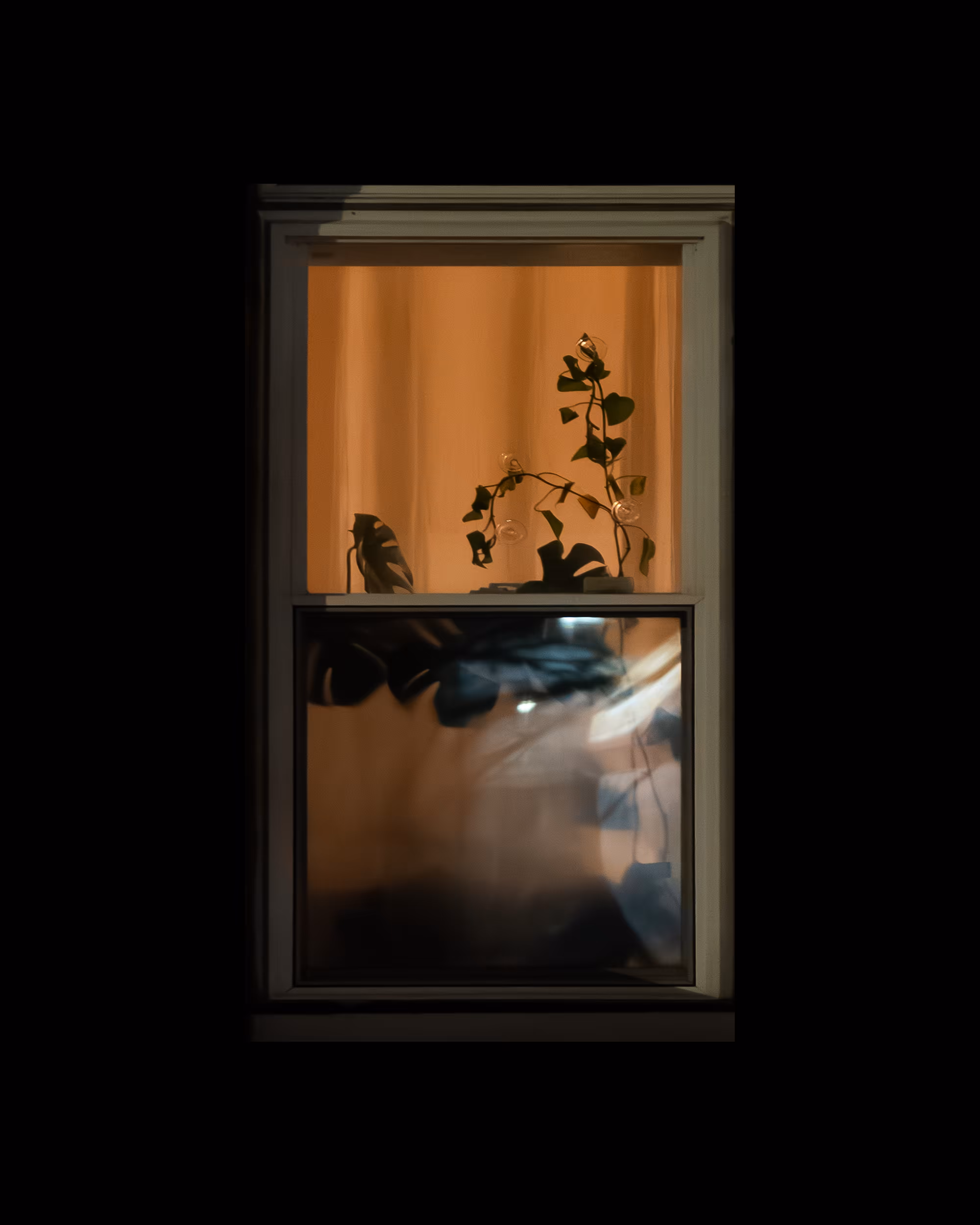 WINDOWS // NYC: WINDOW 227