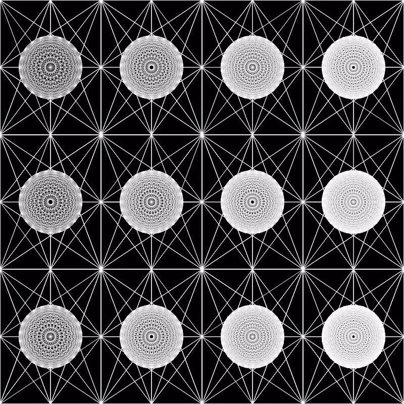 Dat Web #128