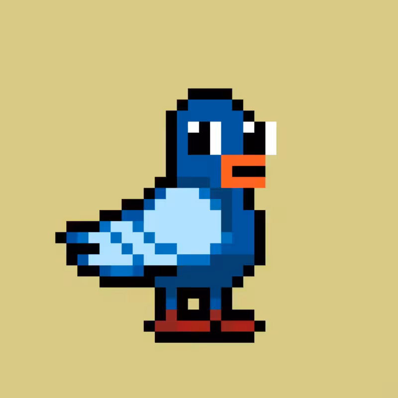 BERDS #1