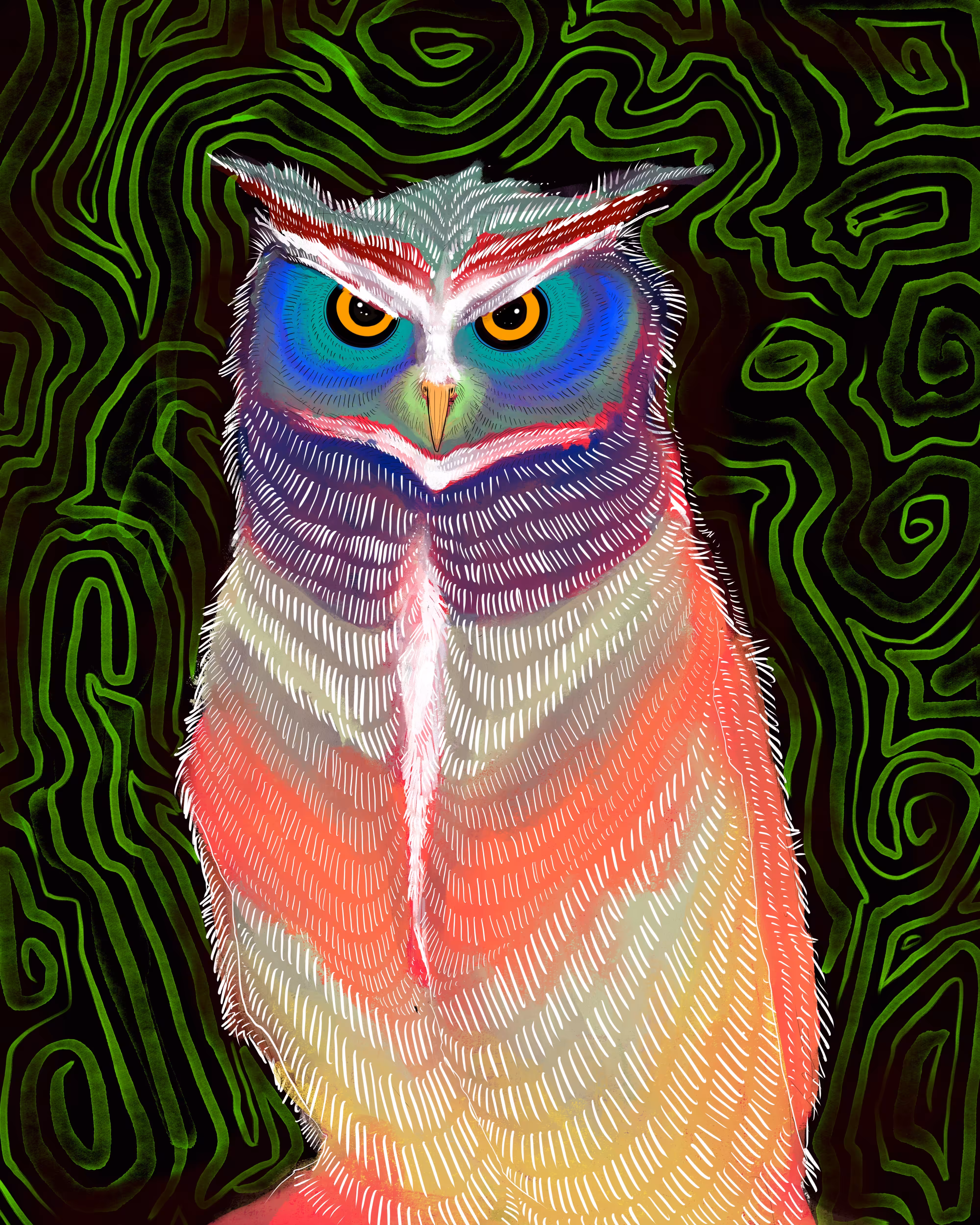 Owl thoughts