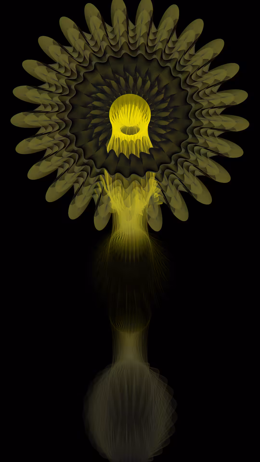 Blossom #18