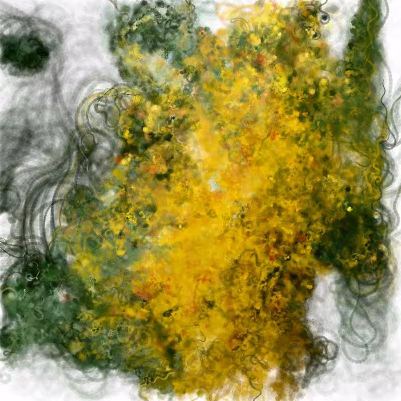 Hypericum #122