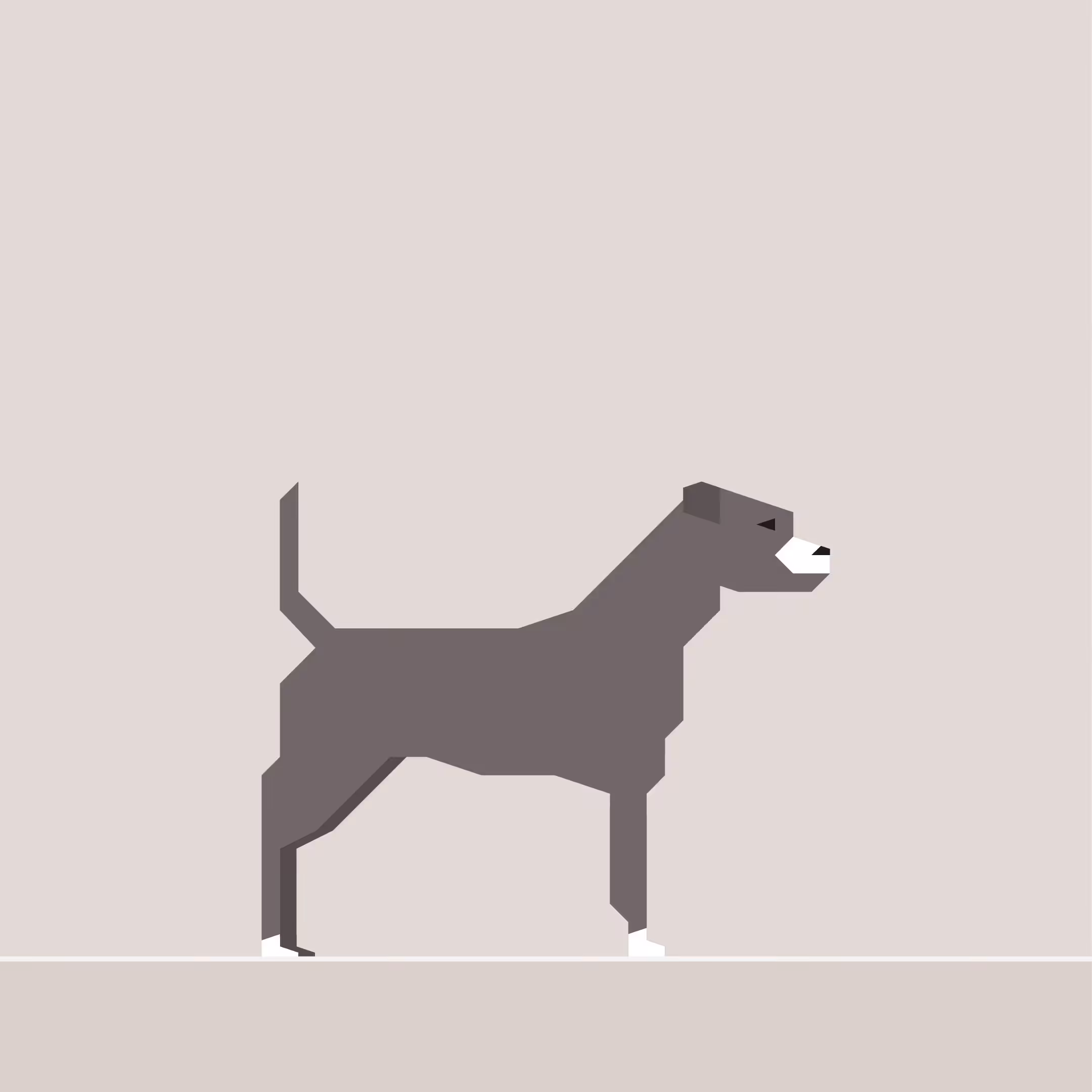 American Staffordshire Terrier