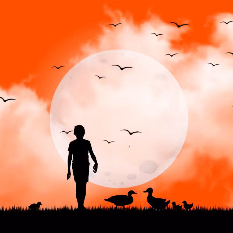 We Care...Duck #4