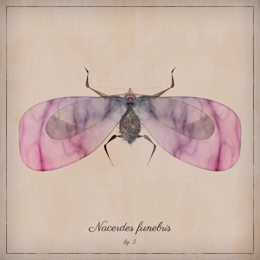 ProcGen Entomology #190