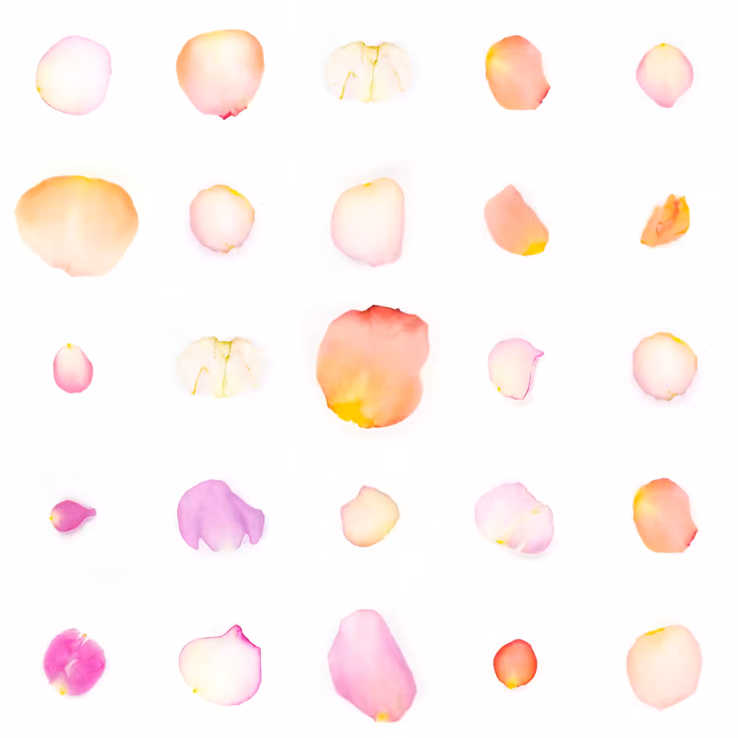 Infinite Petals 5x5#21254