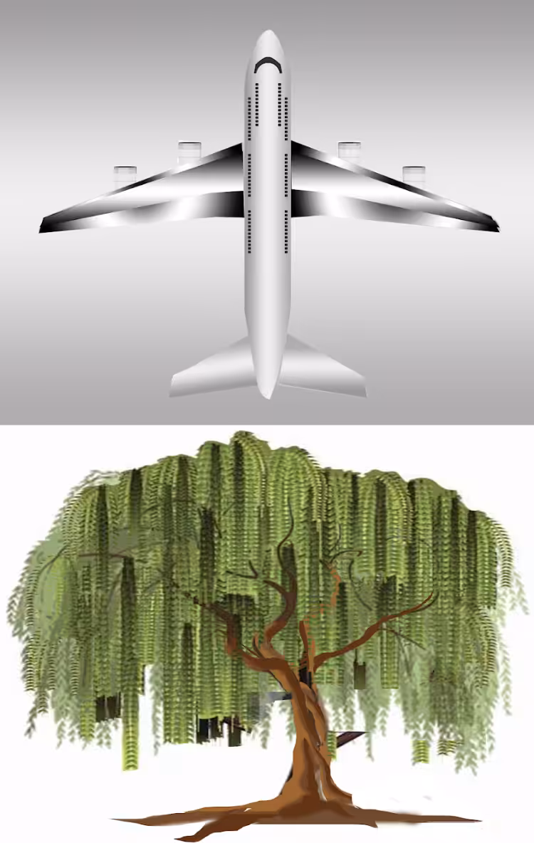 Avión1