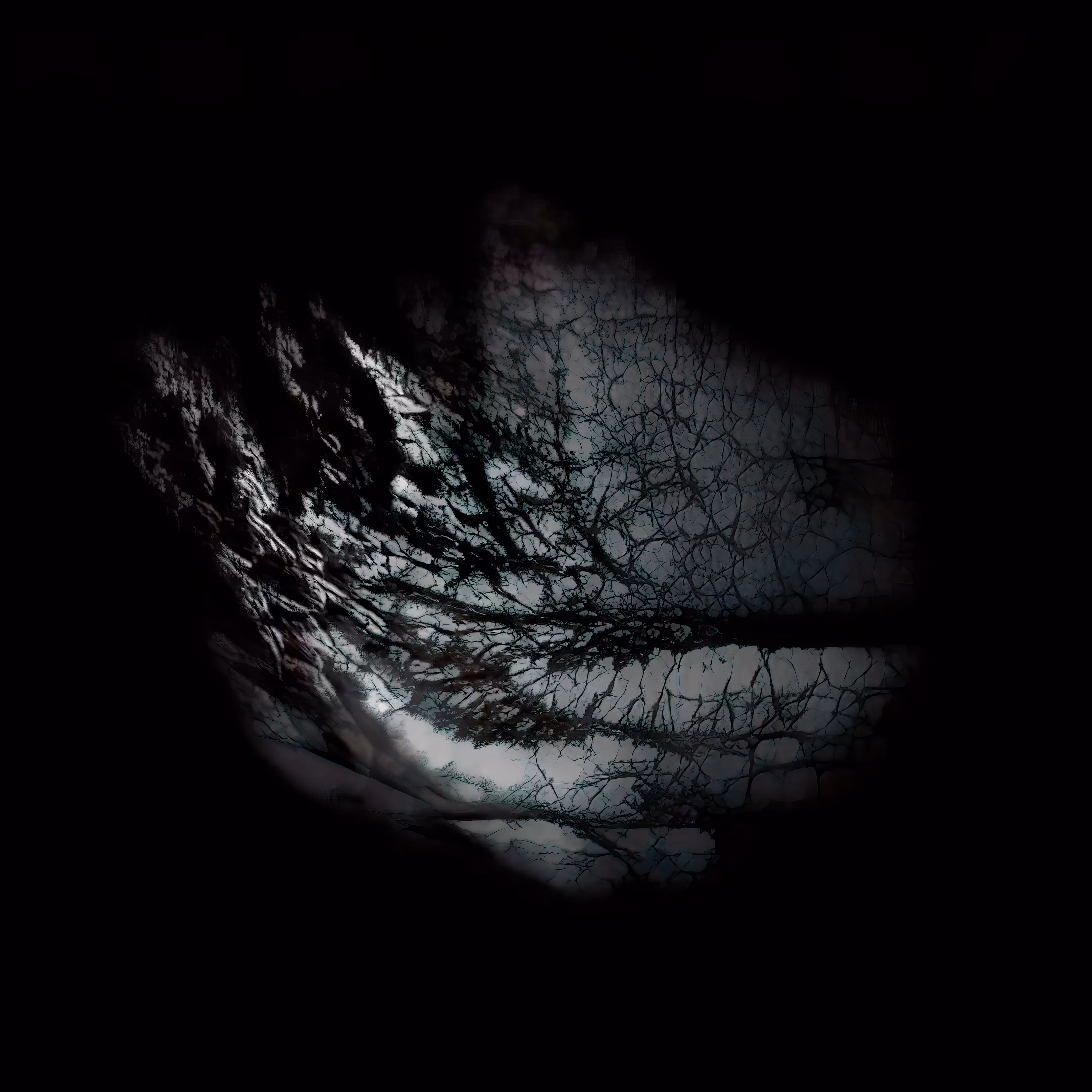 Recherché Remains #1