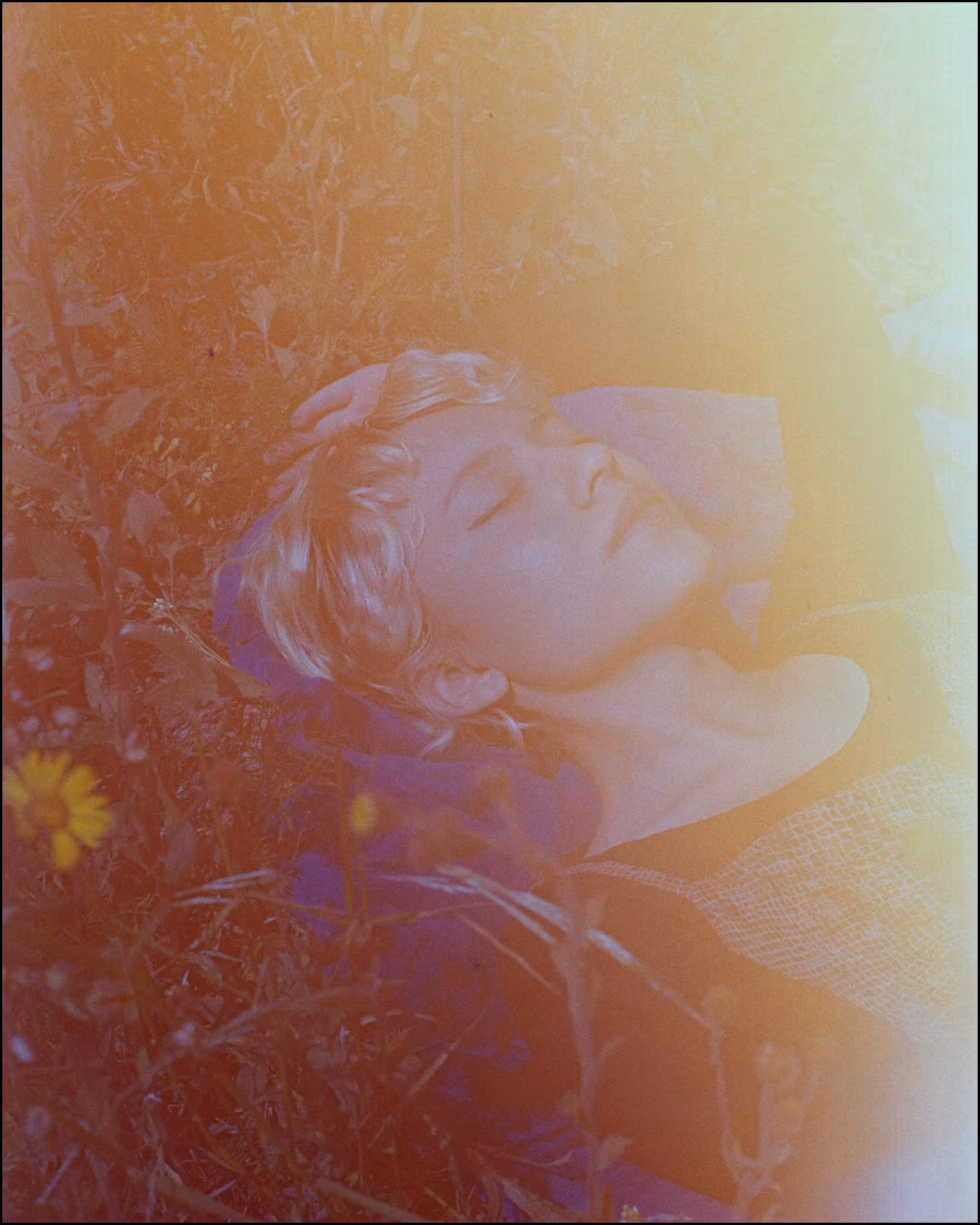 📸🌟💟🌻
