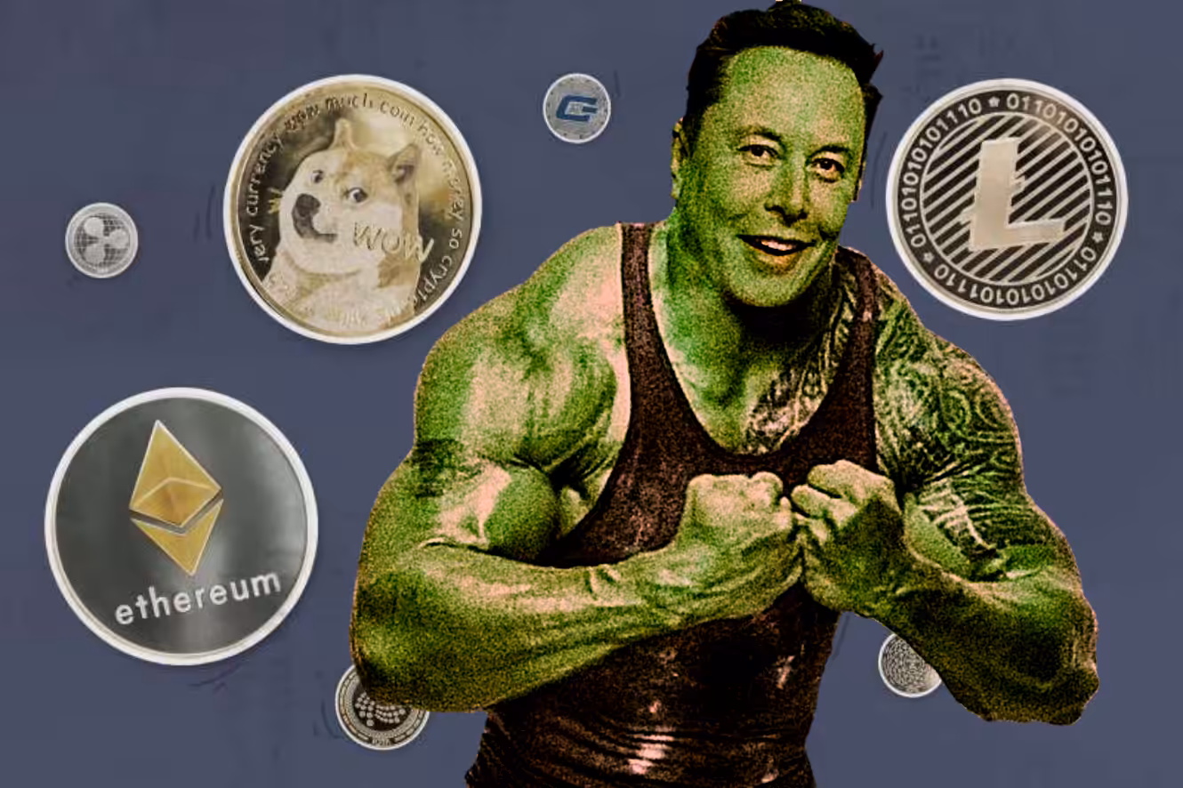 Elon Muskles 