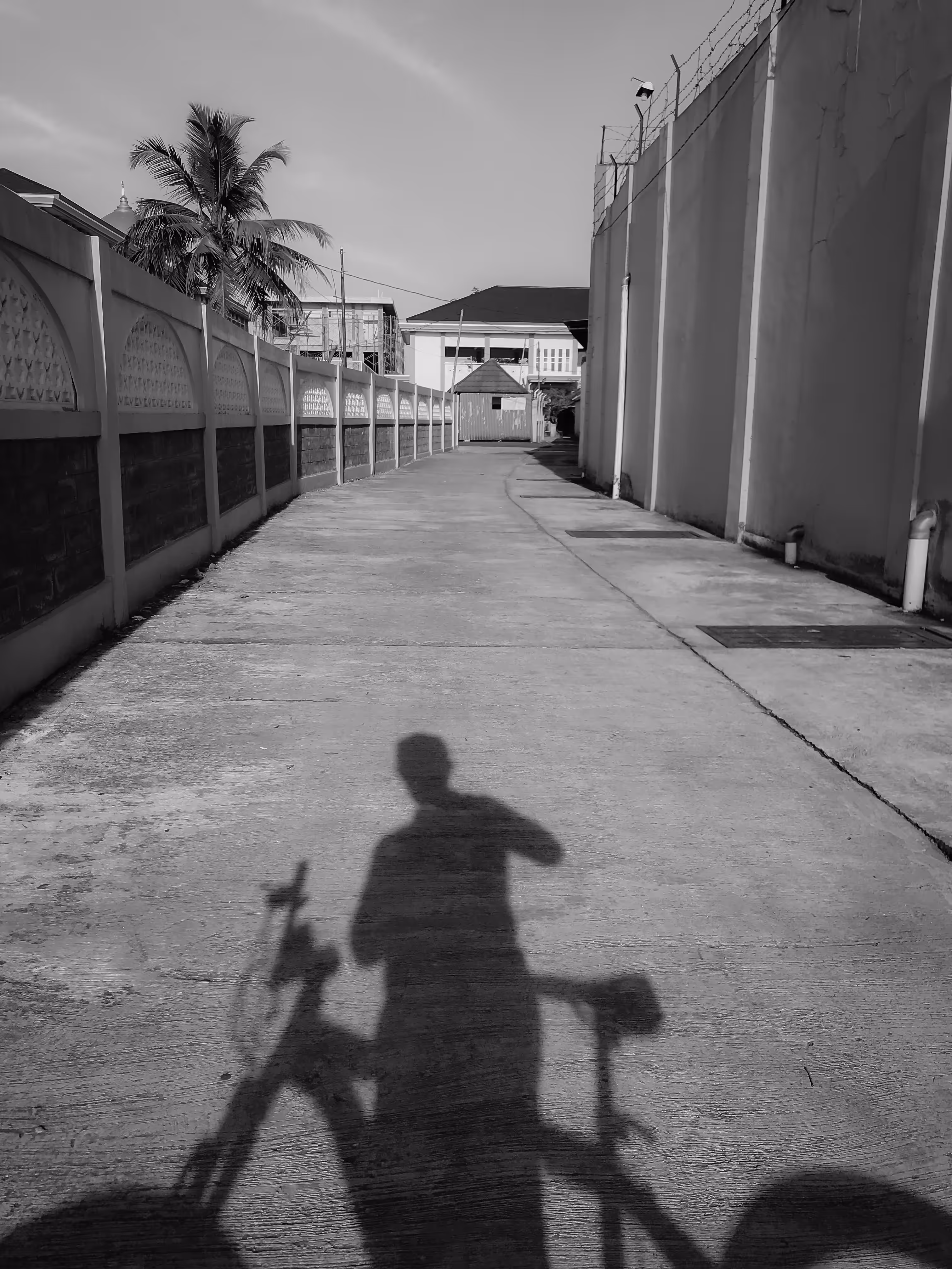BNW: Selfie under the sunlight