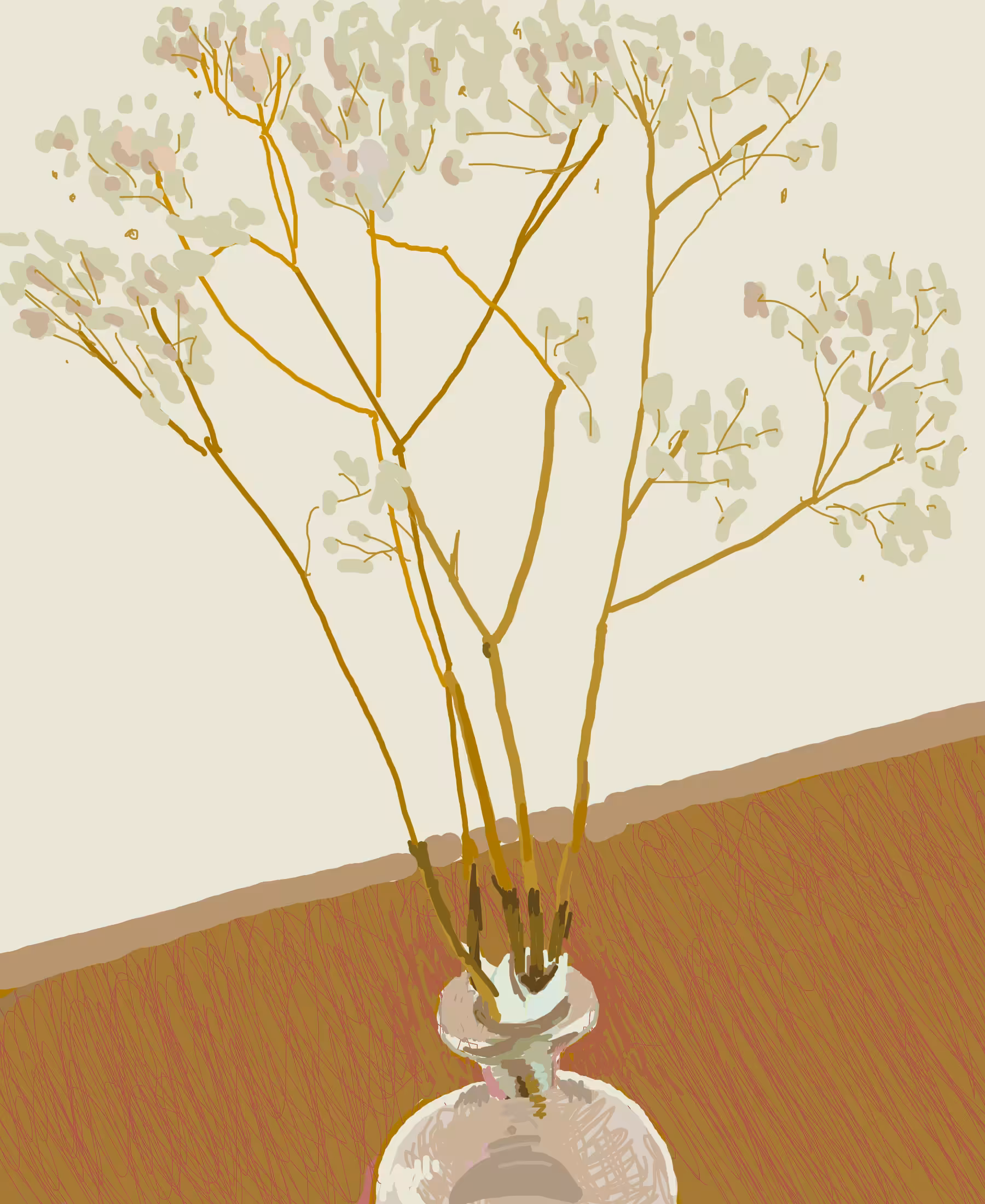Gypsophila flower