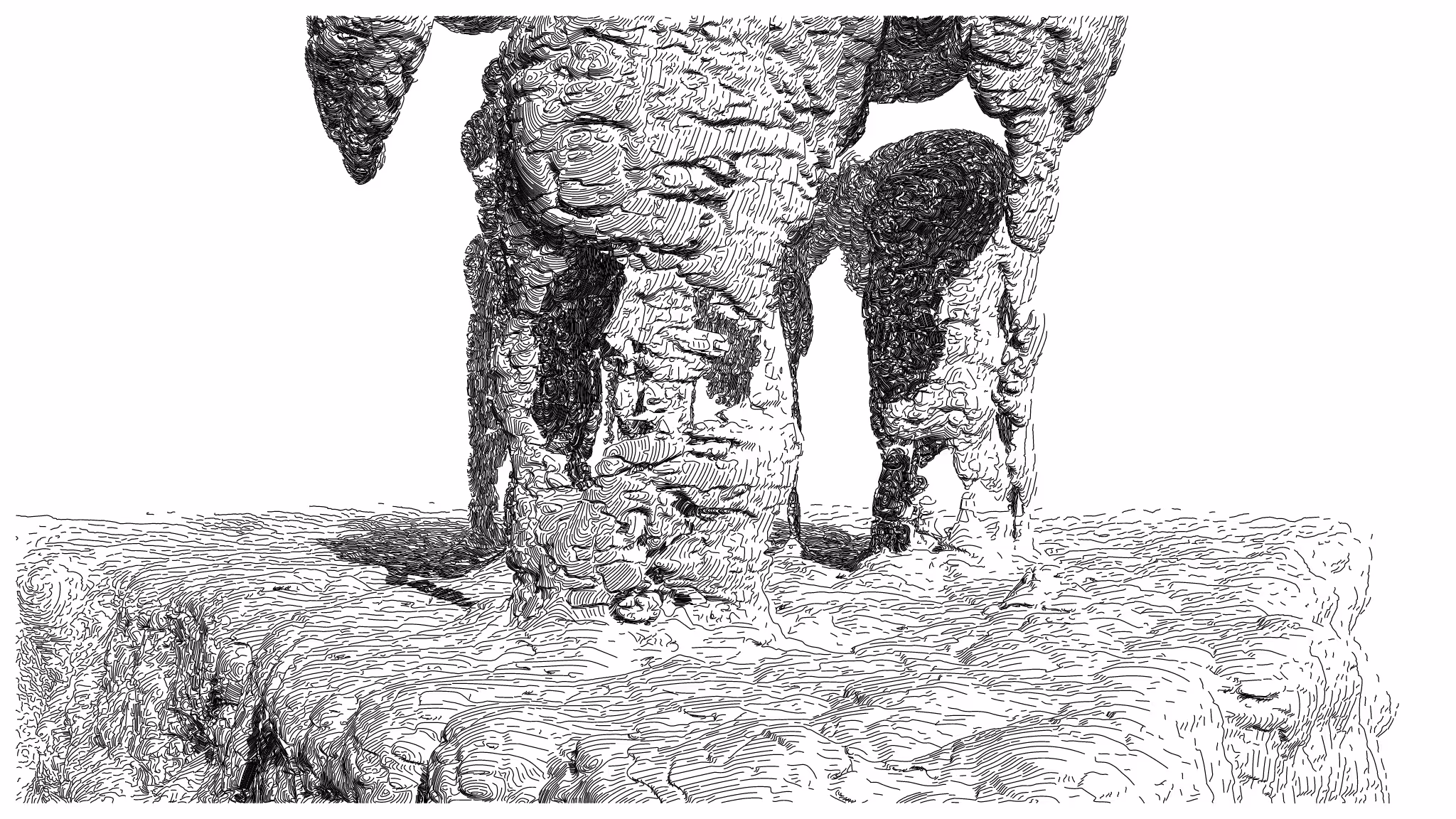 GEOMORPHISM #43