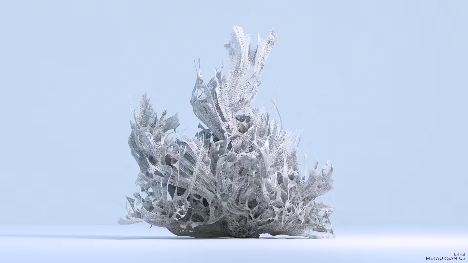 Skeletal
