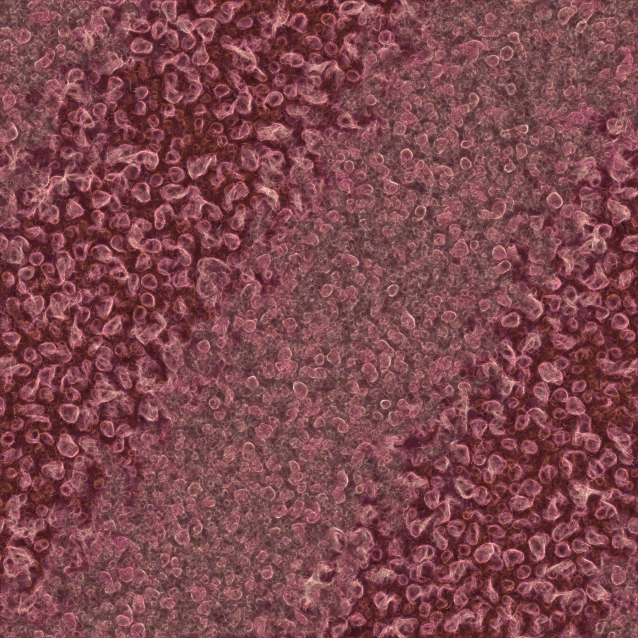 saprophyte #172