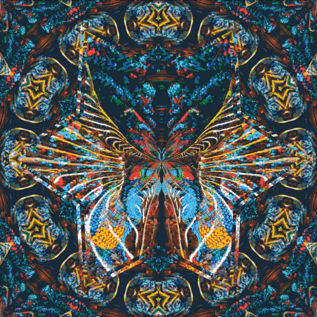 Unknown Butterfly