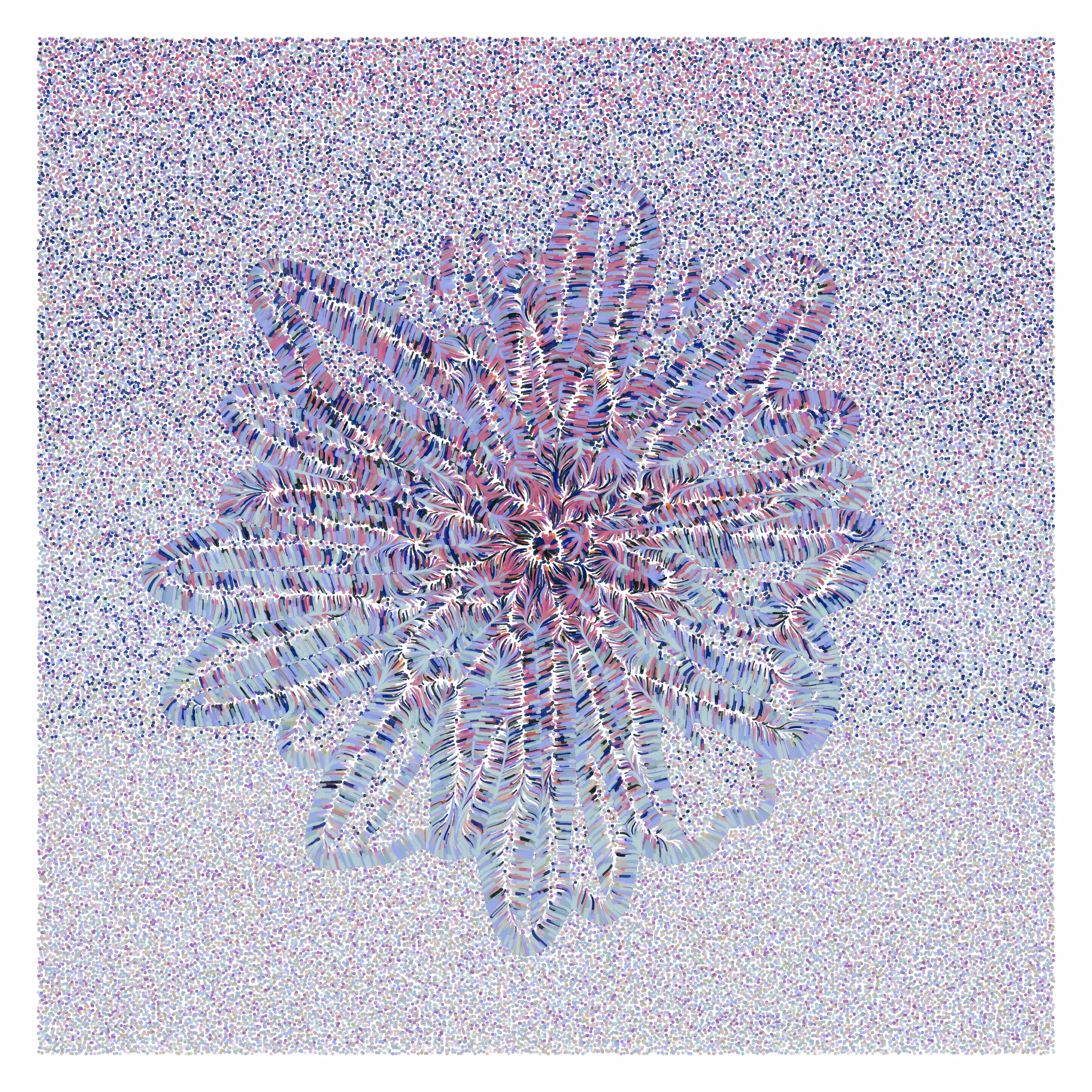 Flower Portrait #2