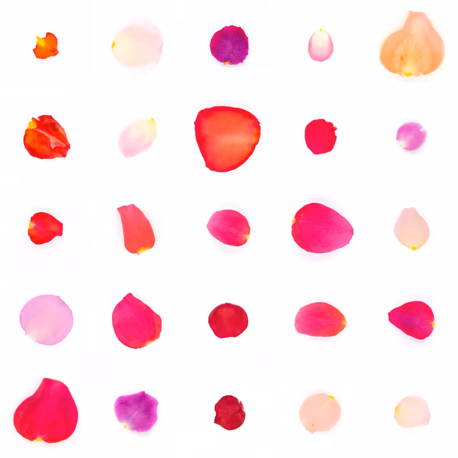 Infinite Petals 5x5#20904
