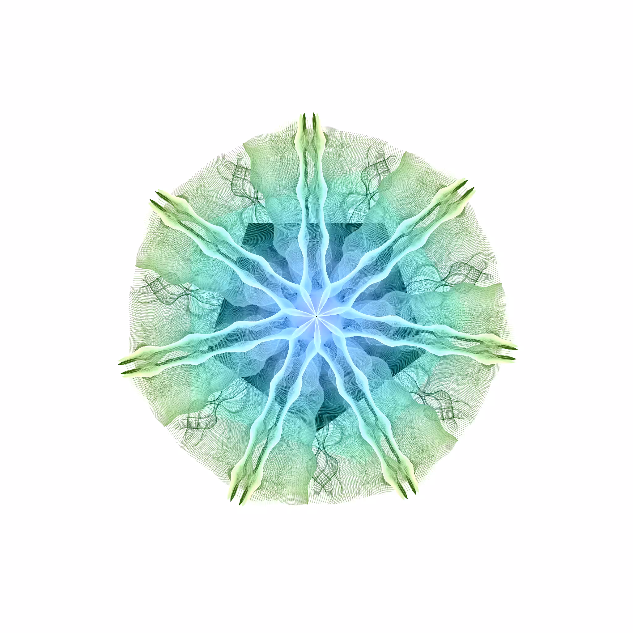 Noisy Mandalas #12