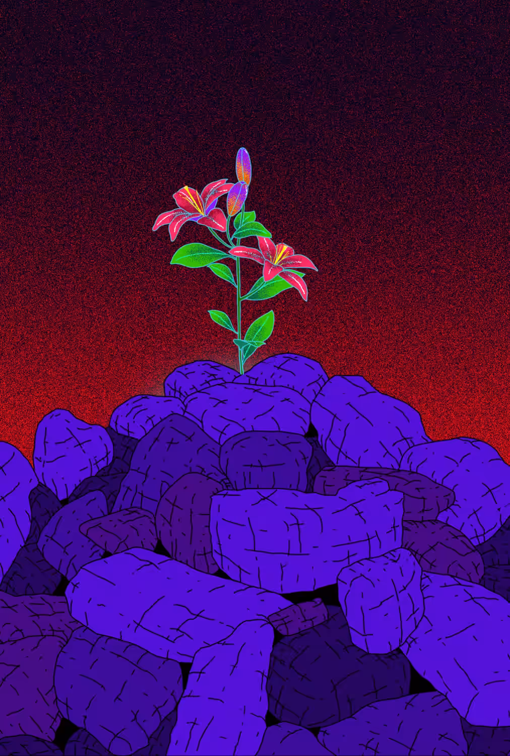 STONE LILY