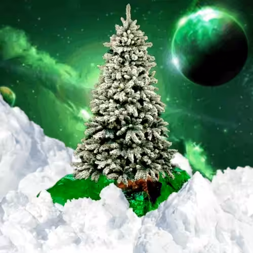 Tree #3