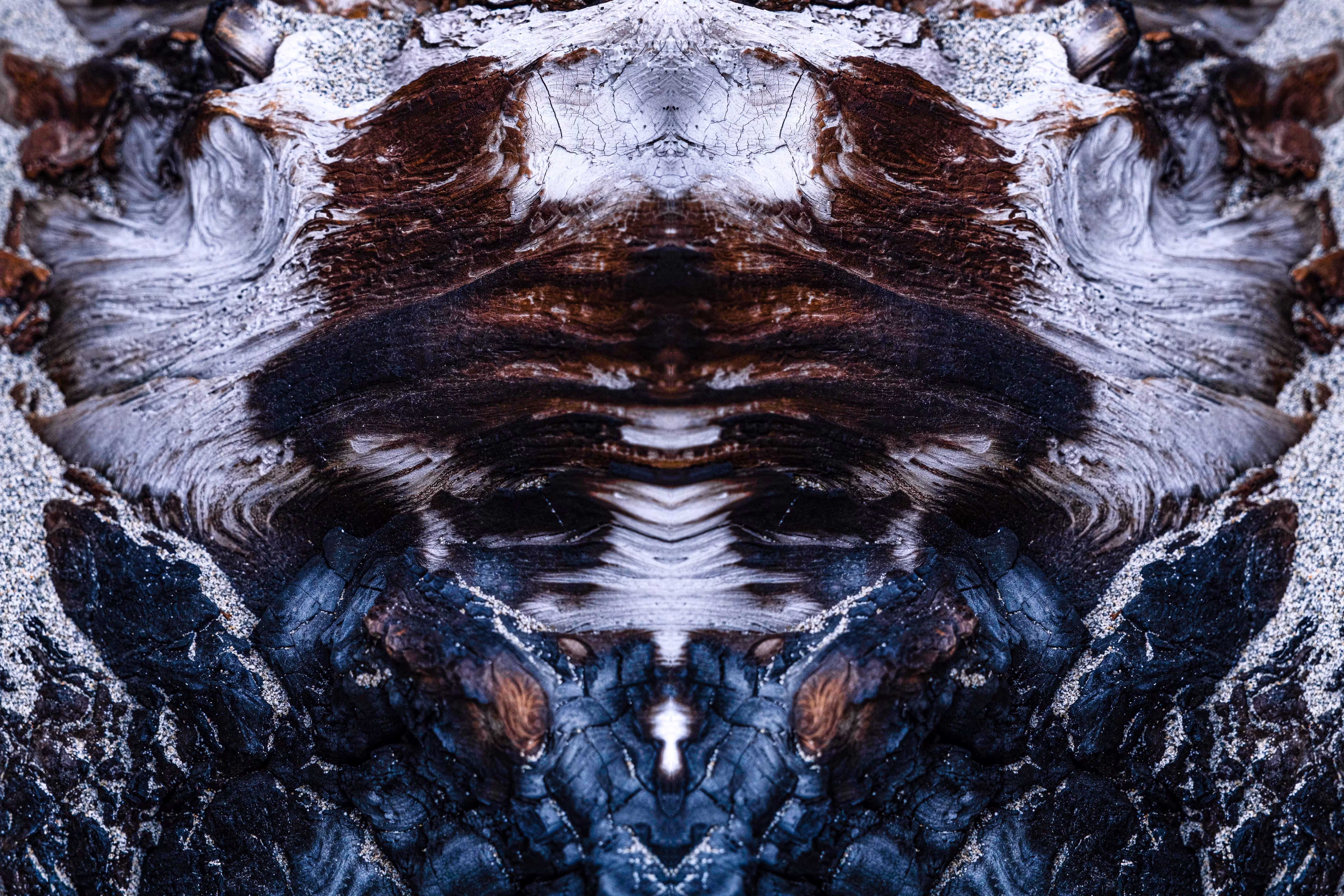 Rorschach #152
