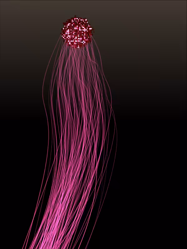 Jellyfish #33