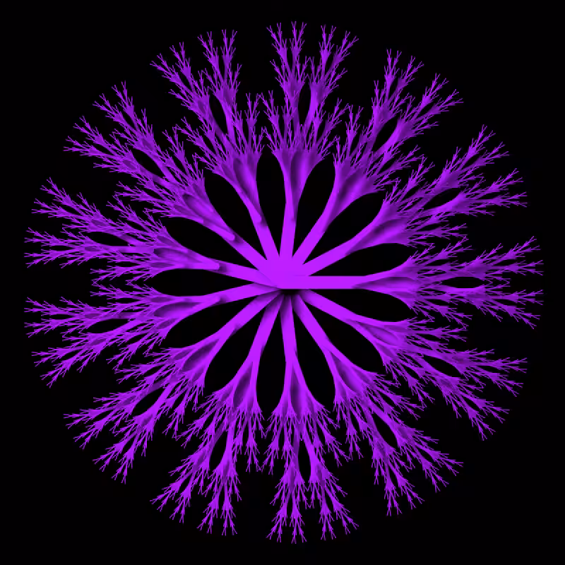 the progression of modern flowers #65