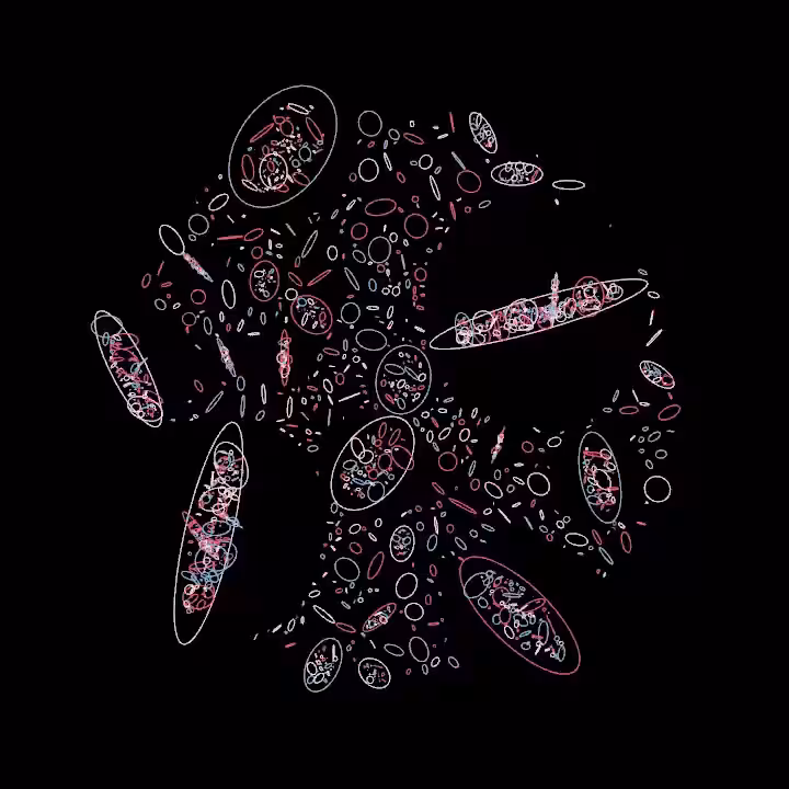 DoodleDeProgramming_20220604