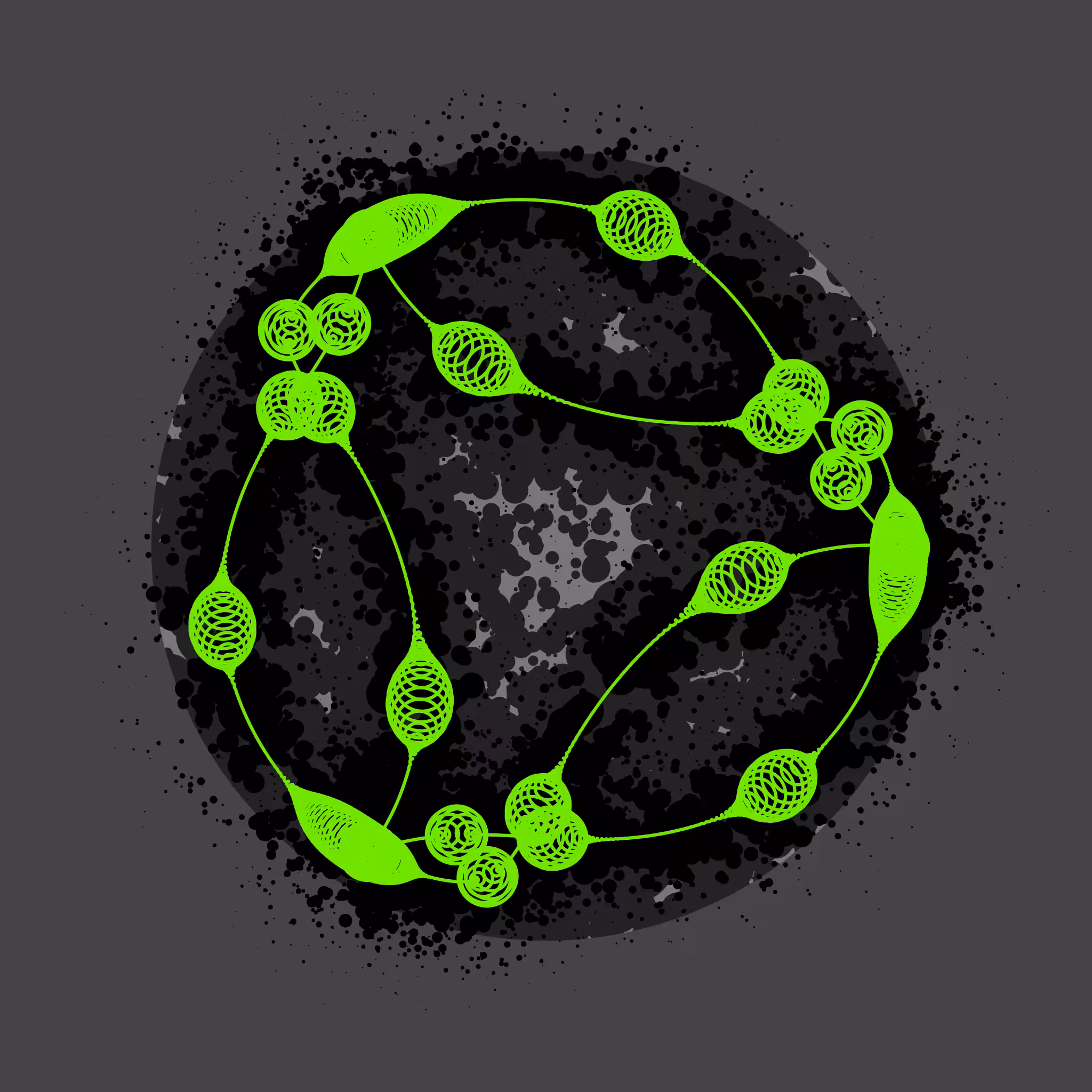 EPIHYPERDERPFLARDIOIDS #361
