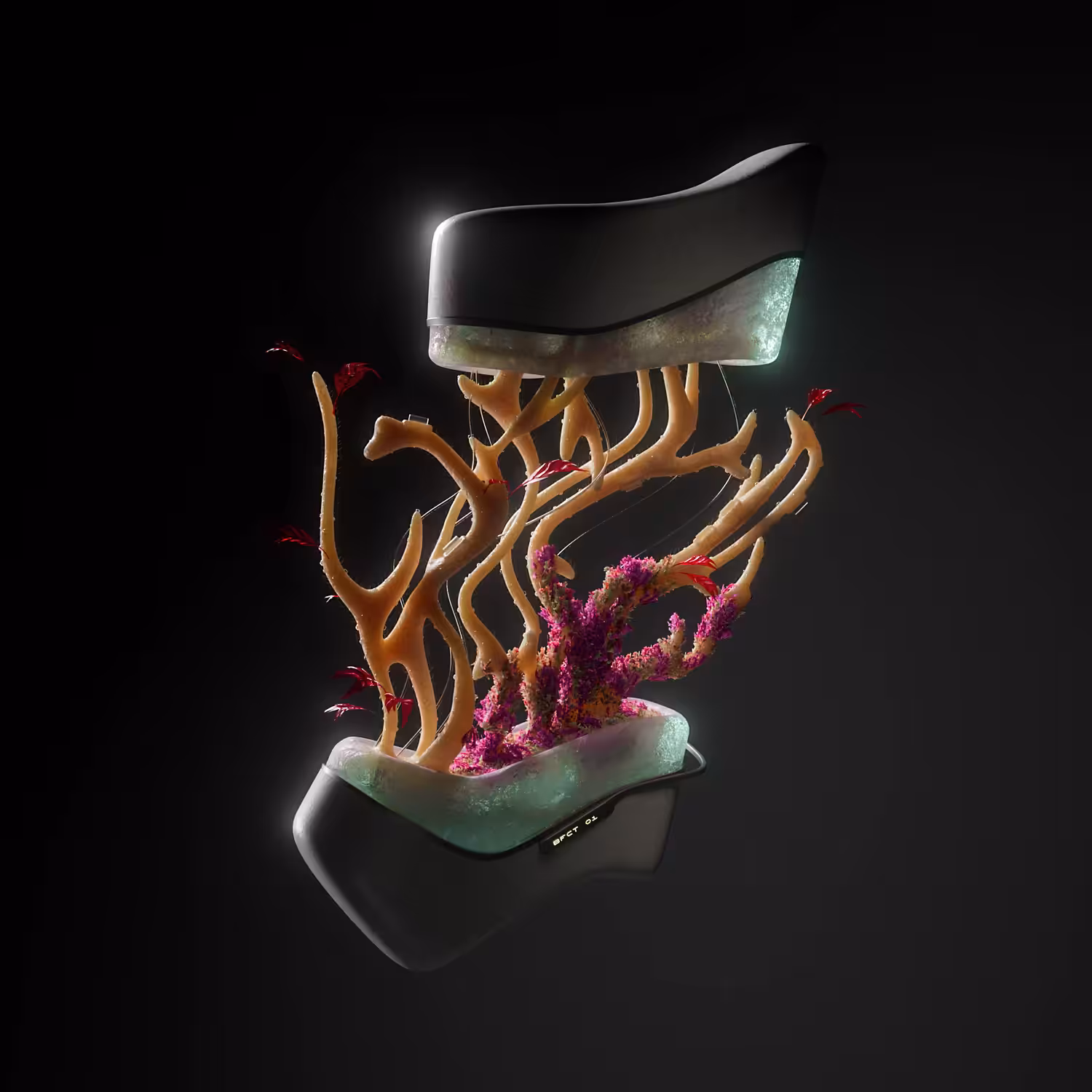 BIO KEY 1