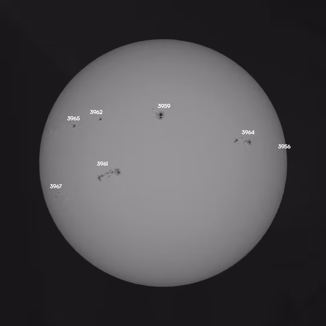 #310, 18/1/25