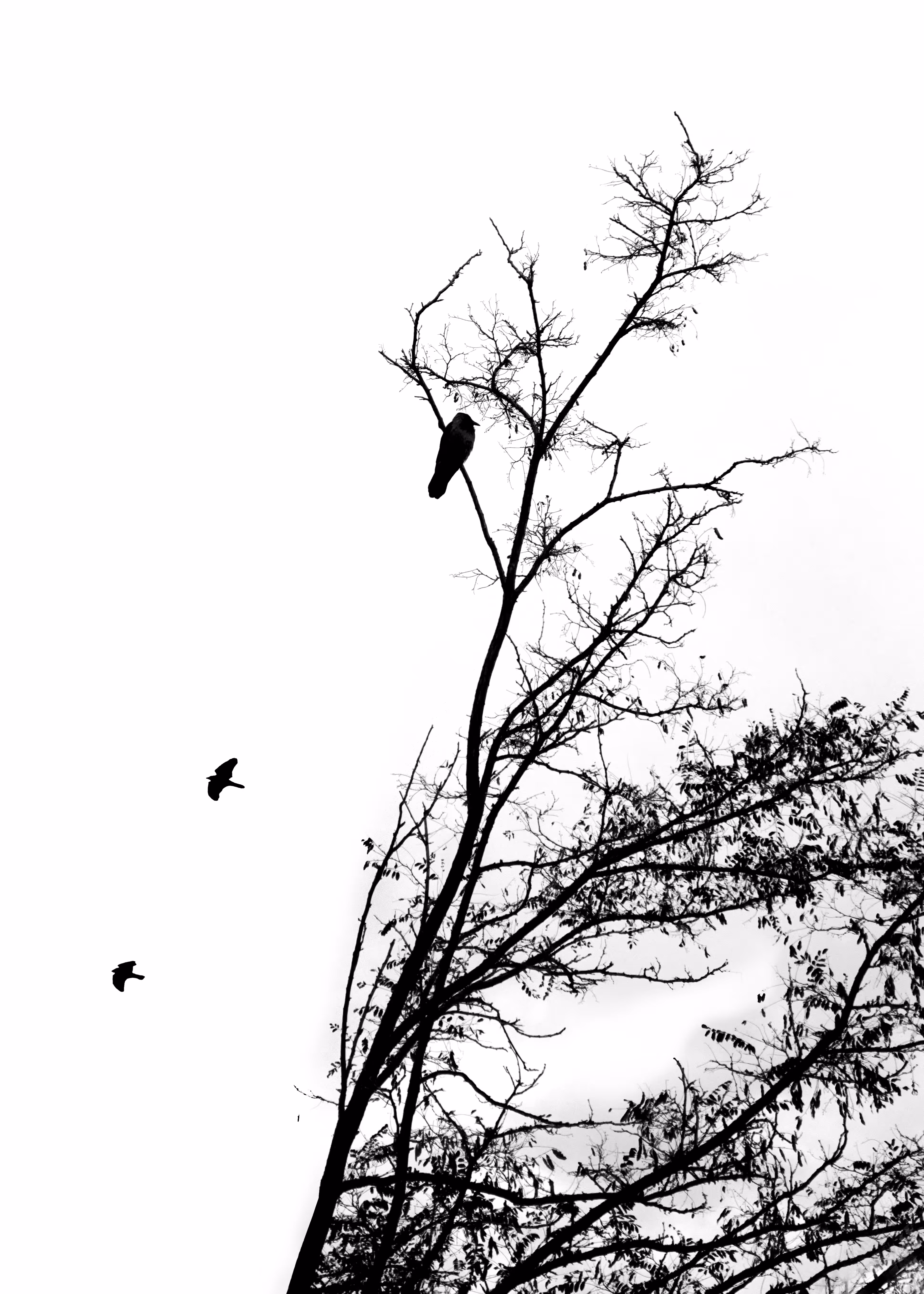 Stillness 