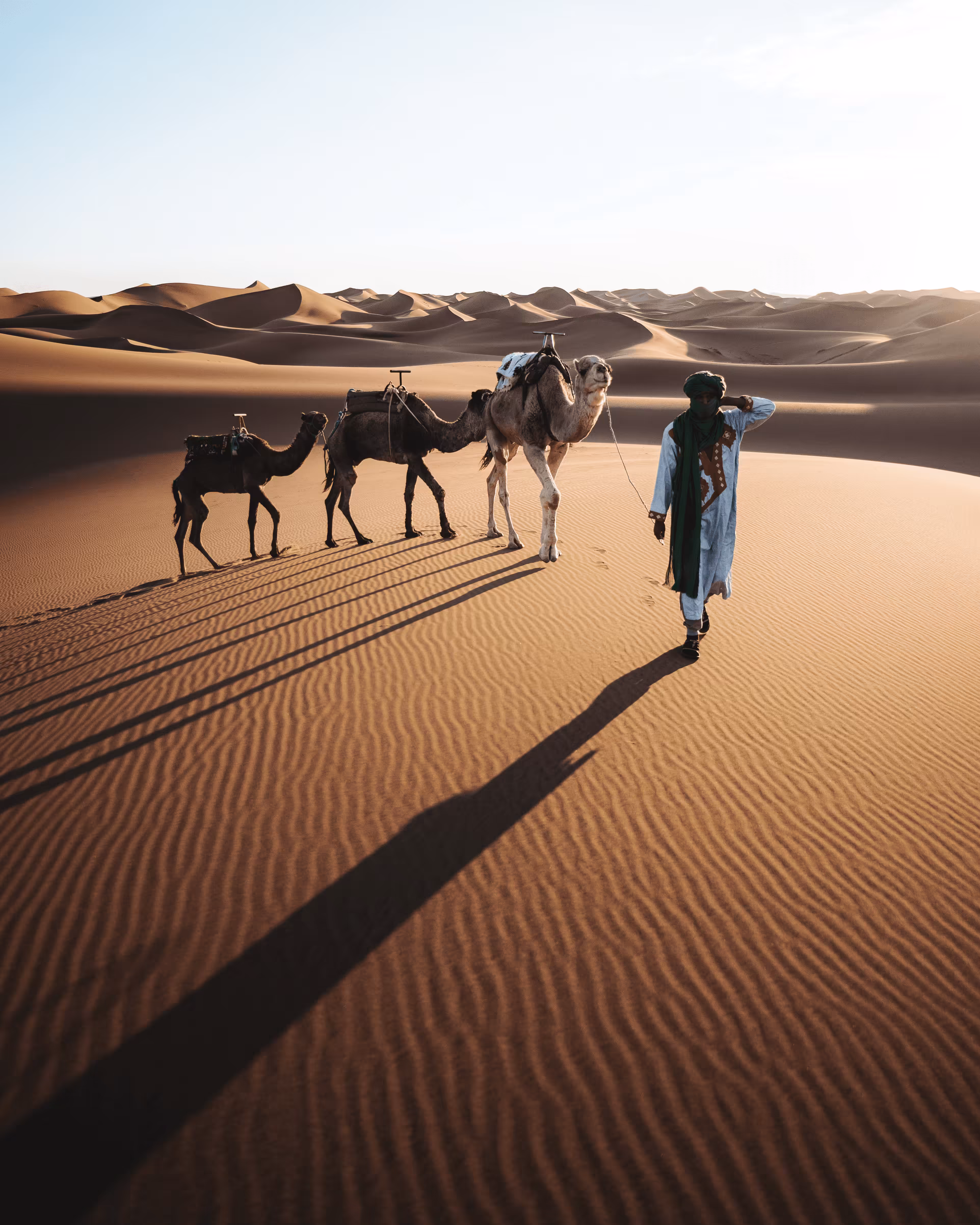 #13. The Nomad