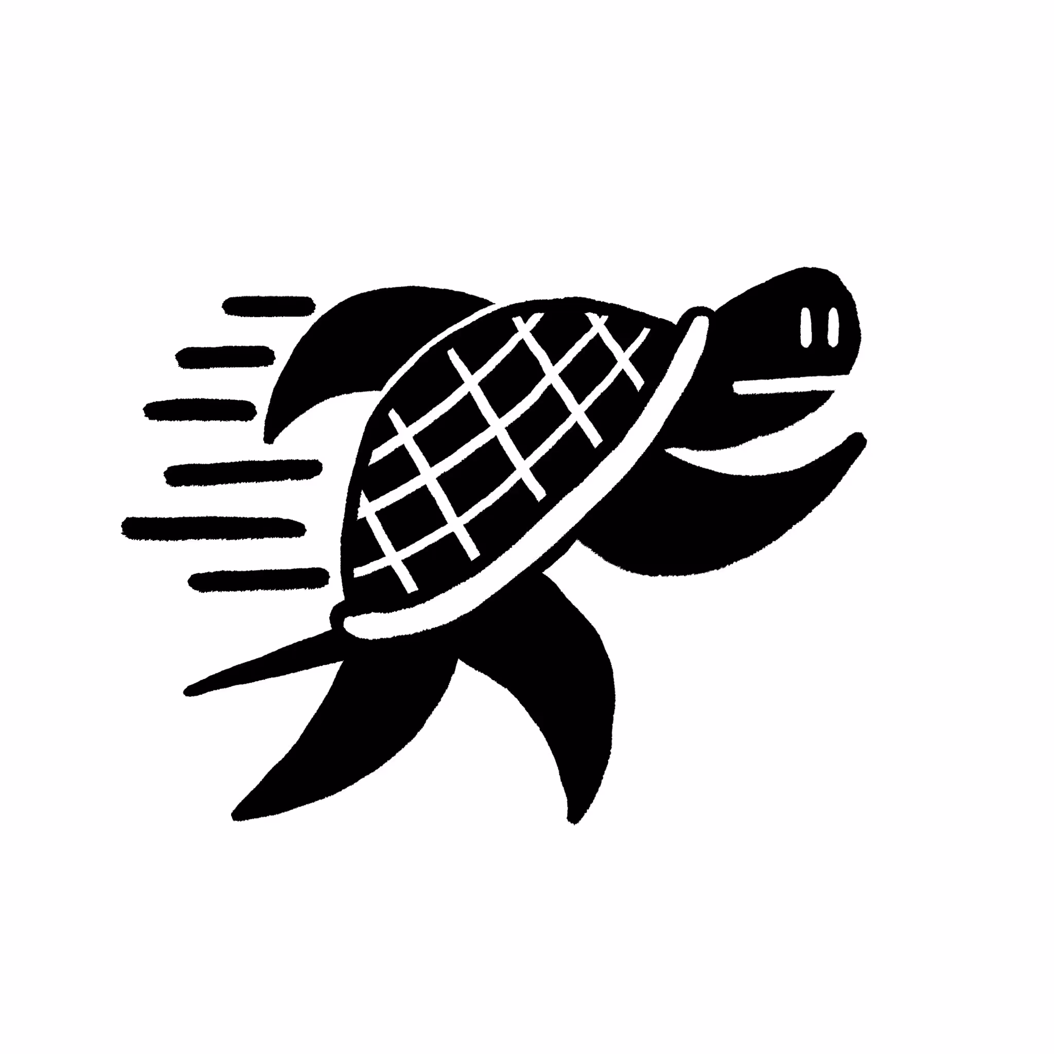 Athletic Turtle