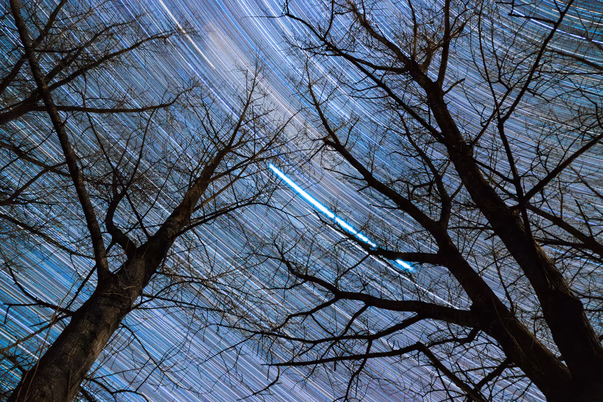 Time Trails #9. Forest II