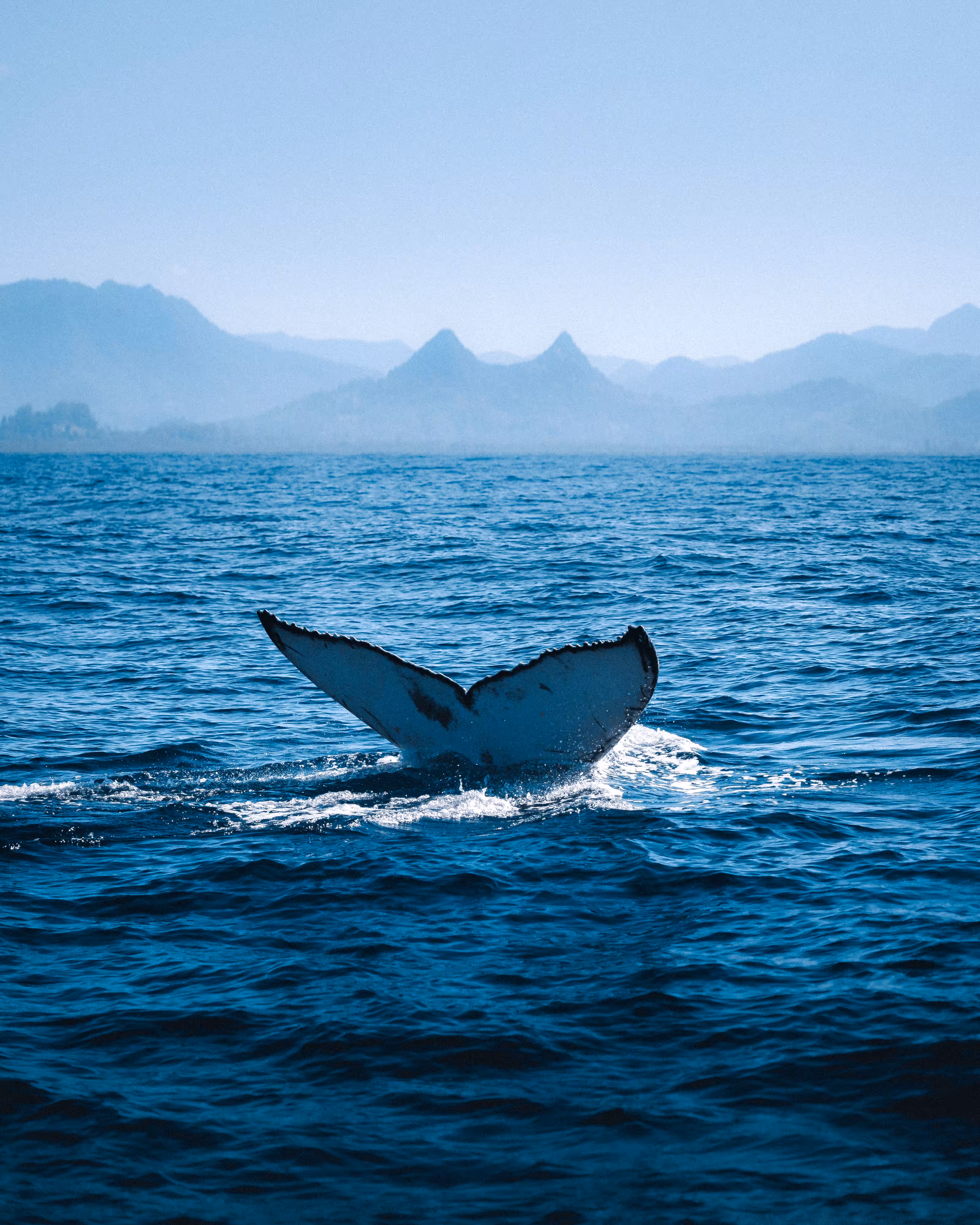 “Into The Blue” #45