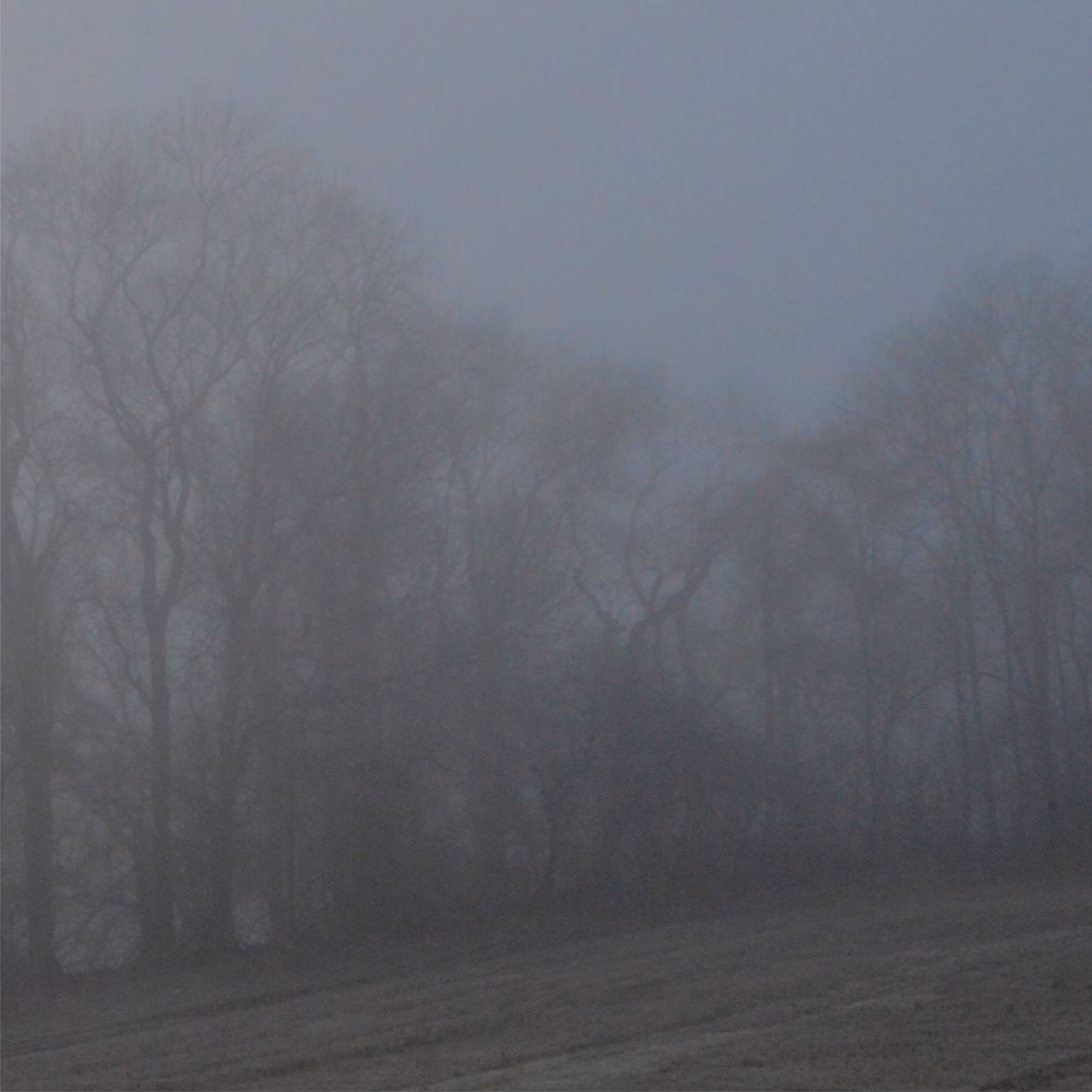 Landscape 6